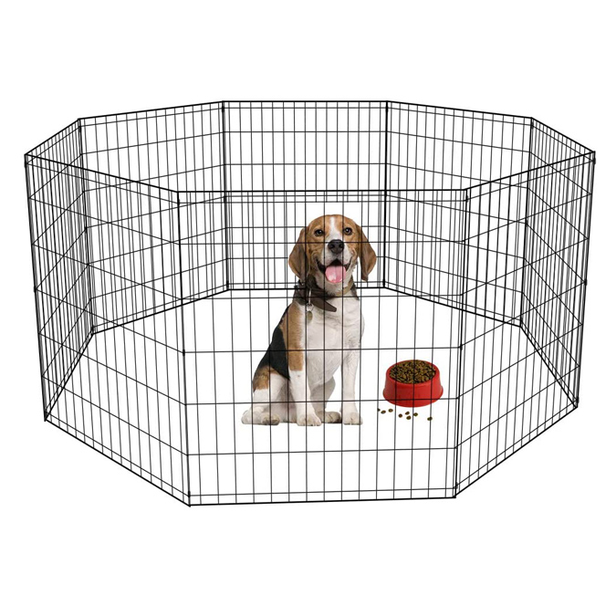 Metal Dog Fence